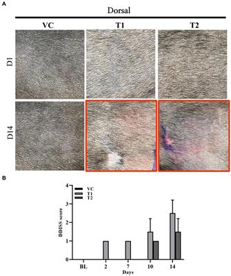 Establishment of an experimental model of ovalbumin-induced atopic dermatitis in canines